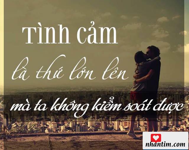 Tình cảm là thứ lớn lên mà ta không kiểm soát được