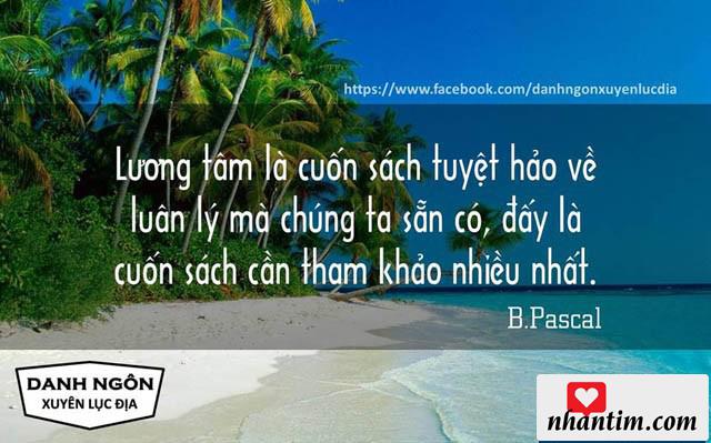 Lương tâm là cuốn sách tuyệt hảo về luân lý mà chúng ta sẵn có, đấy là cuốn sách cần tham khảo nhiều nhất