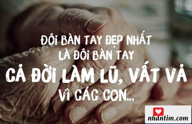 Đôi bàn tay đẹp nhất là đôi bàn tay cả đời lam lũ, vất vả vì các con