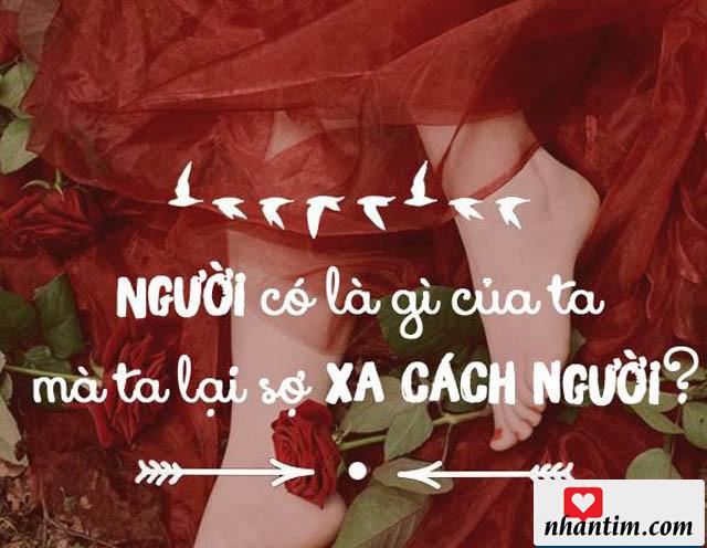 Người có là gì của ta, mà ta lại sợ xa cách người?