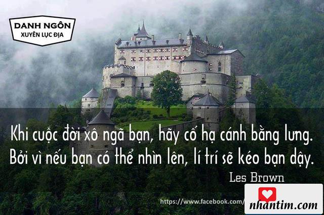 Khi cuộc đời xô ngã bạn, hãy cố hạ cánh bằng lưng. Bởi vì nếu bạn có thể nhìn lên, lí trí sẽ kéo bạn dậy