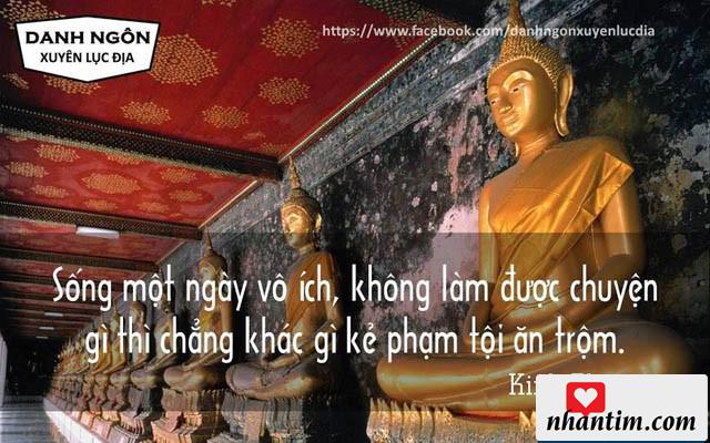 Sống một ngày vô ích, không làm được chuyện gì thì chẳng khác gì kẻ phạm tội ăn trộm