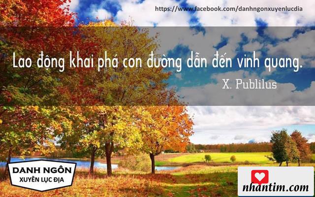 Lao động khai phá con đường dẫn đến vinh quang