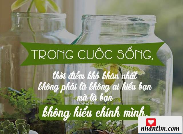 Trong cuộc sống, thời điểm khó khăn nhất không phải là không ai hiểu bạn mà là bạn không hiểu chính mình