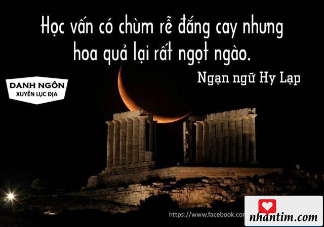 Học vấn có chùm rễ đắng cay nhưng hoa quả lại rất ngọt ngào