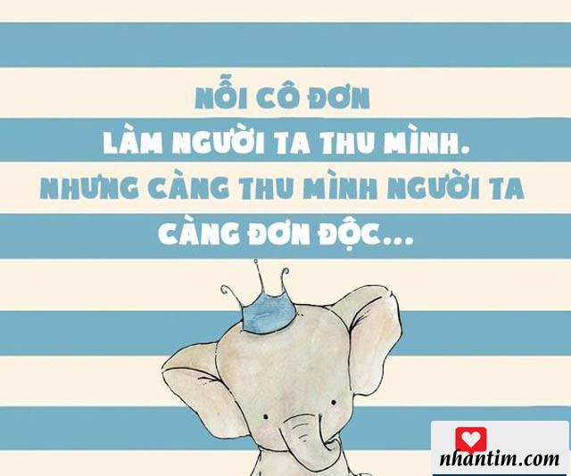 Nỗi cô đơn làm người ta thu mình, nhưng càng thu mình người ta càng đơn độc