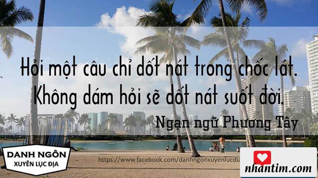 Hỏi một câu chỉ dốt nát trong chốc lát, không dám hỏi sẽ dốt nát suốt đời