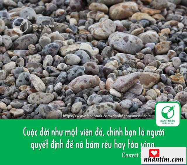 Cuộc đời như một viên đá, chính bạn là người quyết định để nó bám rêu hay tỏa sáng