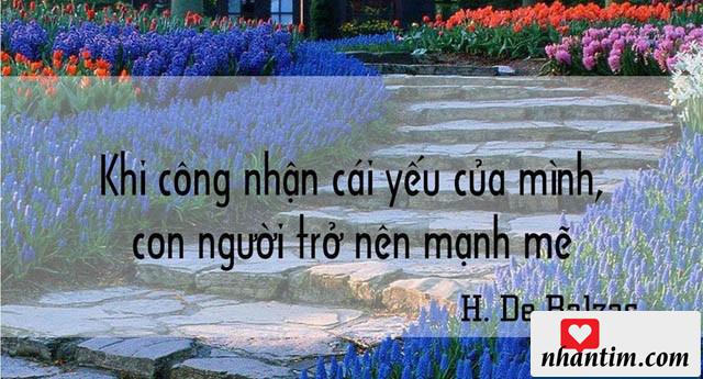 Khi công nhận cái yếu của mình, con người trở nên mạnh mẽ