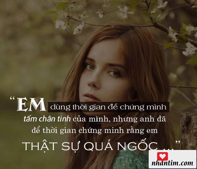 Em dùng thời gian để chứng minh tấm chân tình của mình, nhưng anh đã để thời gian chứng minh rằng em thật sự quá ngốc