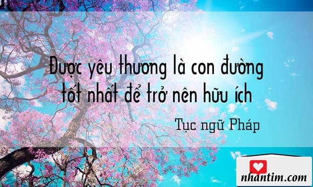 Được yêu thương là con đường tốt nhất để trở nên hữu ích