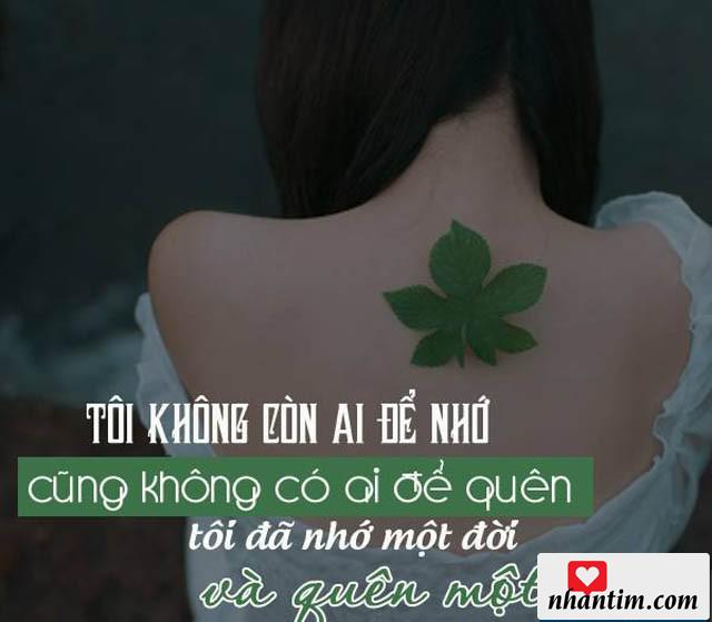 Tôi không còn ai để nhớ cũng không có ai để quên, tôi đã nhớ một đời và quên một nửa