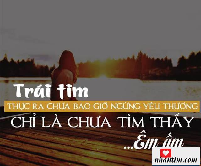 Trái tim thực ra chưa bao giờ ngừng yêu thương, chỉ là chưa tìm thấy êm ấm