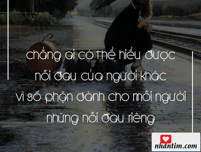 Chẳng ai có thể hiểu được nỗi đau của người khác vì số phận dành cho mỗi người những nỗi đau riêng