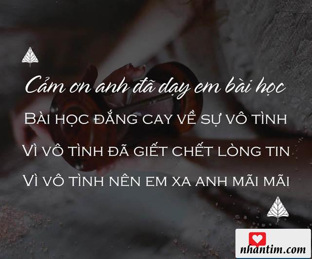 Cảm ơn anh đã dạy em bài học, bài học cay đắng về sự vô tình, vì vô tình đã giết chết lòng tin, vì vô tình nên em xa anh mãi