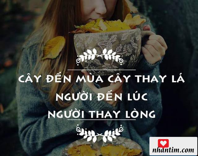 Cây đến mùa, cây thay lá. Người đến lúc, người thay lòng