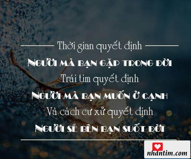 Thời gian quyết định người mà bạn gặp trong đời, trái tim quyết định người mà bạn muốn ở cạnh và cách cư xử quyết định người sẽ bên bạn suốt đời