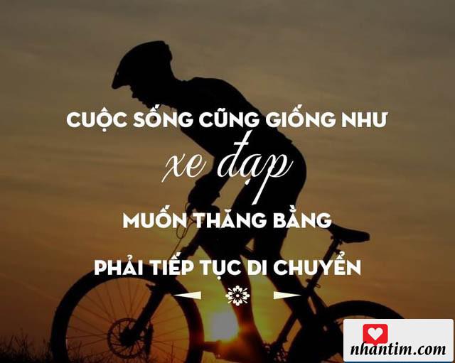 Cuộc sống cũng giống như xe đạp, muốn thăng bằng phải tiếp tục di chuyển