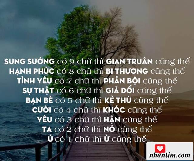 Sung sướng có 9 chữ thì Gian truân cũng thế, Hạnh phúc có 8 chữ thì Bi thương cũng thế