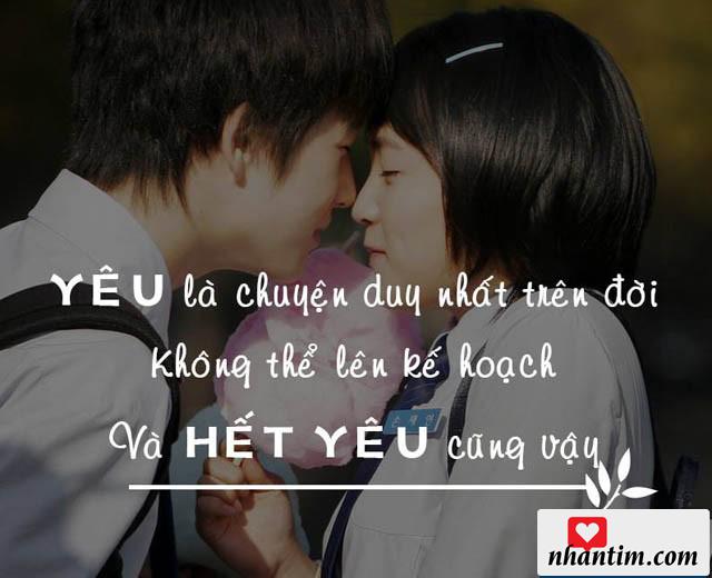 Yêu là chuyện duy nhất trên đời không thể lên kế hoạch và hết yêu cũng vậy