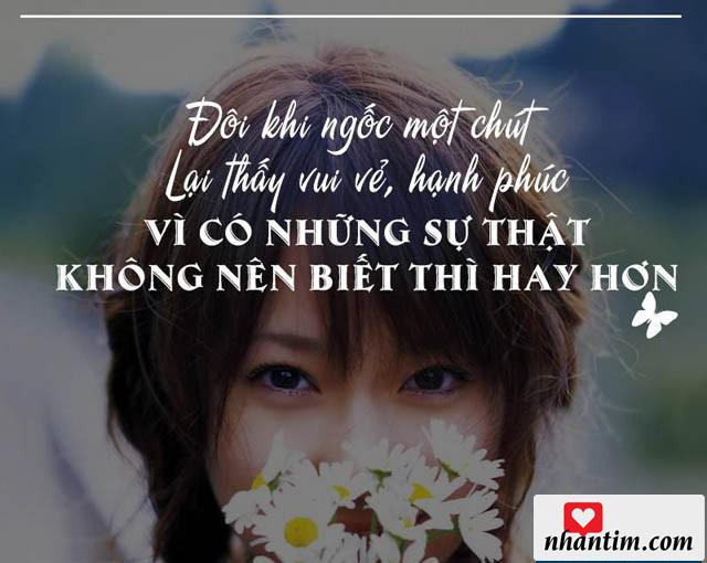 Đôi khi ngốc một chút lại thấy vui vẻ, hạnh phúc vì có những sự thật không nên biết thì hay hơn