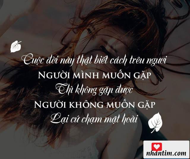 Cuộc đời này thật biết cách trêu ngươi, người mình muốn gặp thì không gặp được, người không muốn gặp lại cứ chạm mặt hoài