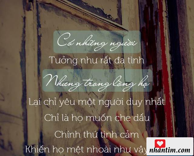 Có những người tưởng như rất đa tình, nhưng trong lòng họ lại chỉ yêu một người duy nhất, chỉ là họ muốn che dấu chính thứ tình cảm khiến họ mệt nhoài như vậy thôi