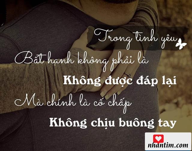 Trong tình yêu, bất hạnh không phải là không được đáp lại, mà chính là cố chấp không chịu buông tay