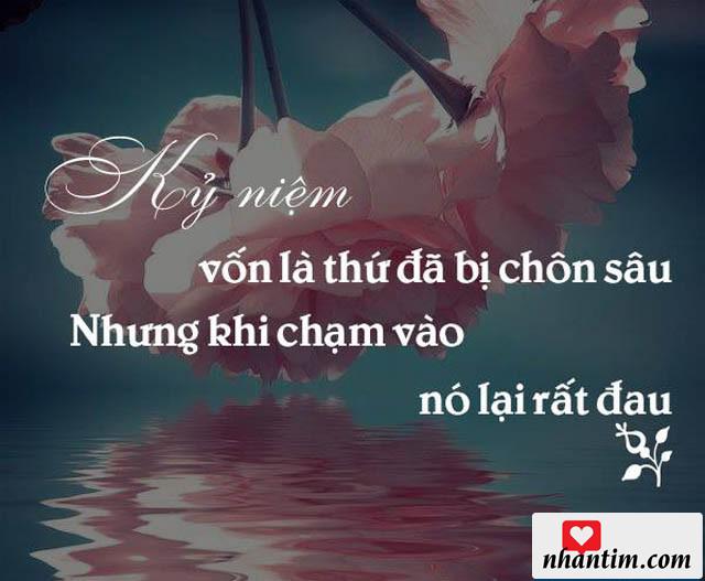 Kỷ niệm vốn là thứ đã bị chôn sâu, nhưng khi chạm vào nó lại rất đau