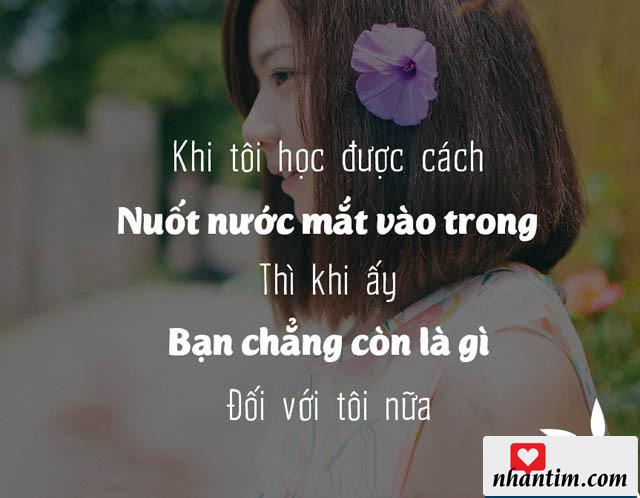 Khi tôi học được cách nuốt nước mắt vào trong, thì khi ấy bạn chẳng còn là gì đối với tôi nữa