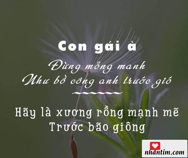 Con gái à! Đừng mỏng manh như bồ công anh trước gió. Hãy là xương rồng mạnh mẽ trước bão giông