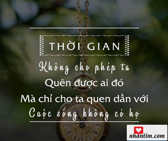 Thời gian không cho phép ta quên một ai đó mà chỉ cho ta quen dần với cuộc sống không có họ