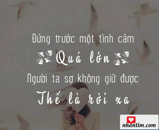 Đứng trước một tình cảm quá lớn, người ta sợ không giữ được, thế là rời xa