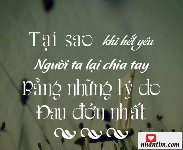 Tại sao khi hết yêu người ta lại chia tay bằng những lý do đau đớn nhất