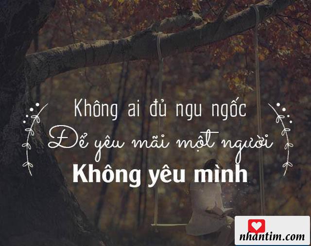 Không ai đủ ngu ngốc để yêu mãi một người không yêu mình