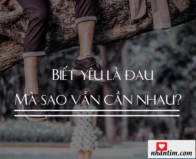 Biết yêu là đau mà sao vẫn cần nhau?