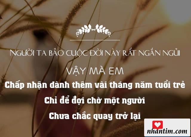 Người ta bảo cuộc đời này rất ngắn ngủi, vậy mà em chấp nhận dành thêm vài tháng năm tuổi trẻ, chỉ để đợi chờ một người chưa chắc quay trở về