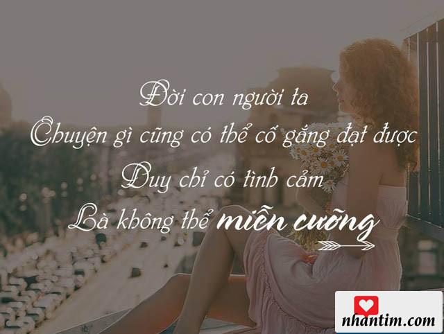 Đời con người ta cái gì cũng có thể miễn cưỡng được, duy chỉ có tình cảm là không thể miễn cưỡng