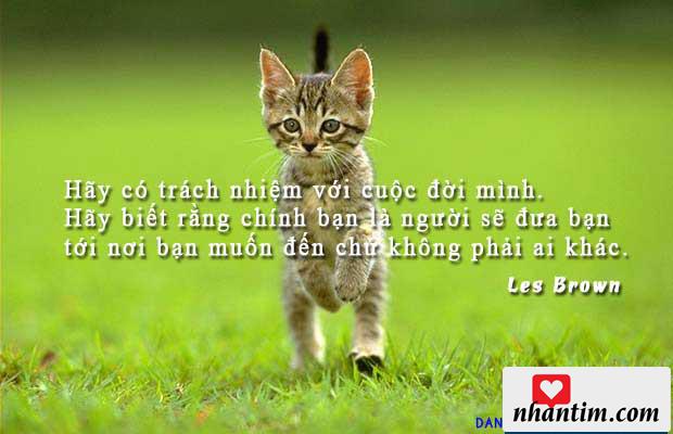 Hãy có trách nhiệm với cuộc đời mình. Hãy biết rằng chính bạn là người sẽ đưa bạn tới nơi bạn muốn đến chứ không phải ai khác.