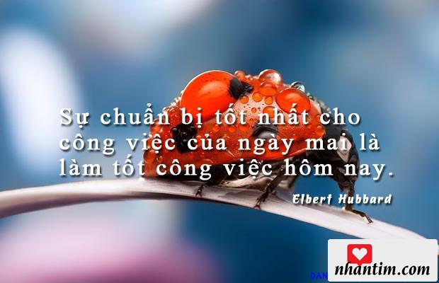 Sự chuẩn bị tốt nhất cho công việc của ngày mai là làm tốt công việc hôm nay.