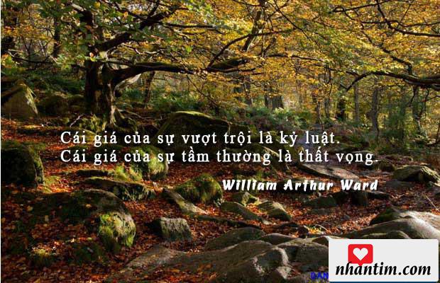 Cái giá của sự vượt trội là kỷ luật. Cái giá của sự tầm thường là thất vọng.