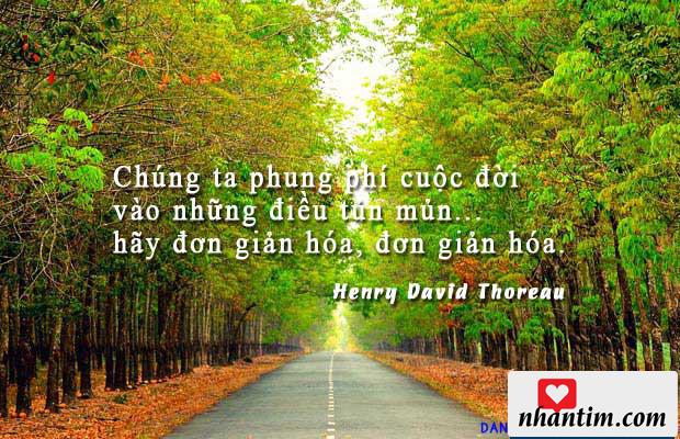 Chúng ta phung phí cuộc đời vào những điều tủn mủn… hãy đơn giản hóa, đơn giản hóa.