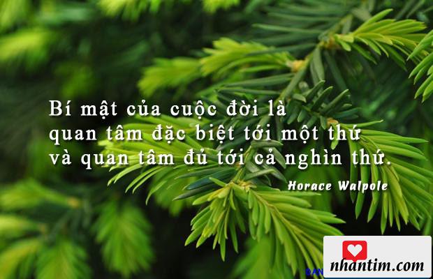 Bí mật của cuộc đời là quan tâm đặc biệt tới một thứ và quan tâm đủ tới cả nghìn thứ.