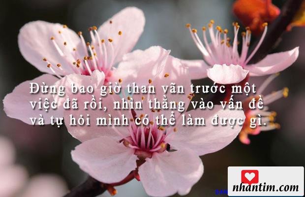 Đừng bao giờ than vãn trước một việc đã rồi, nhìn thằng vào vấn đề và tự hỏi mình có thể làm được gì.