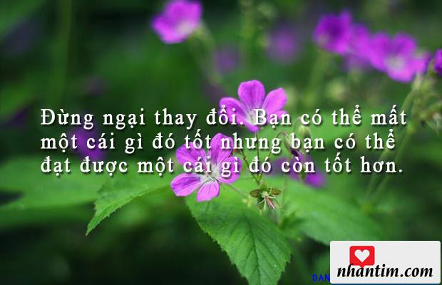 Đừng ngại thay đổi. Bạn có thể mất một cái gì đó tốt nhưng bạn có thể đạt được một cái gì đó còn tốt hơn.