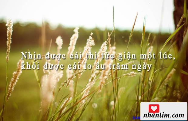 Nhịn được cái thì tức giận một lúc, khỏi được cái lo âu trăm ngày