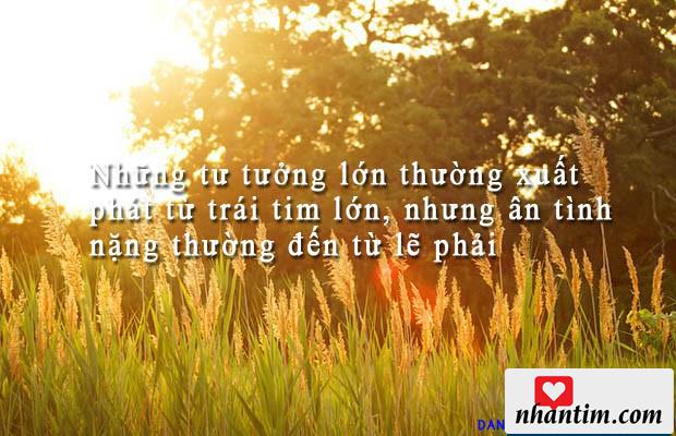 Những tư tưởng lớn thường xuất phát từ trái tim lớn, nhưng ân tình nặng thường đến từ lẽ phải