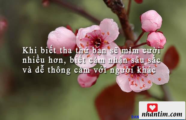 Khi biết tha thứ bạn sẽ mỉm cười nhiều hơn, biết cảm nhận sâu sắc và dễ thông cảm với người khác