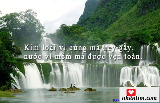 Kim loại vì cứng mà hay gẫy, nước vì mềm mà được vẹn toàn.