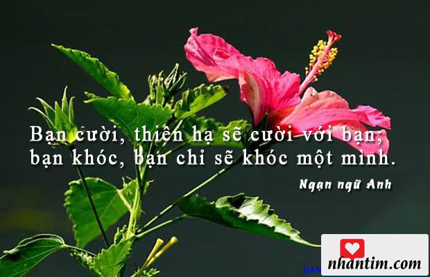 Bạn cười, thiên hạ sẽ cười với bạn; bạn khóc, bạn chỉ sẽ khóc một mình.